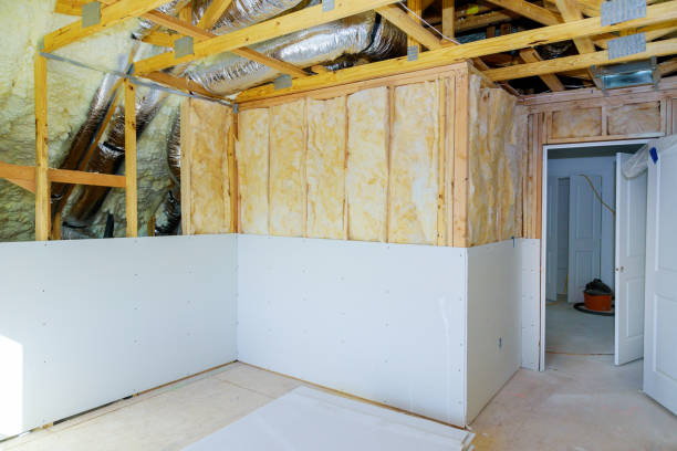 Best Professional Insulation Contractor  in Pocatello, ID