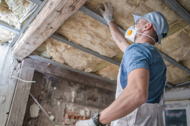 Best Spray Foam Insulation  in Pocatello, ID