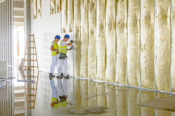 Best Insulation Contractor Near Me  in Pocatello, ID